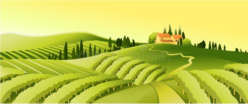 Paisagem rural com vinha ilustração stock