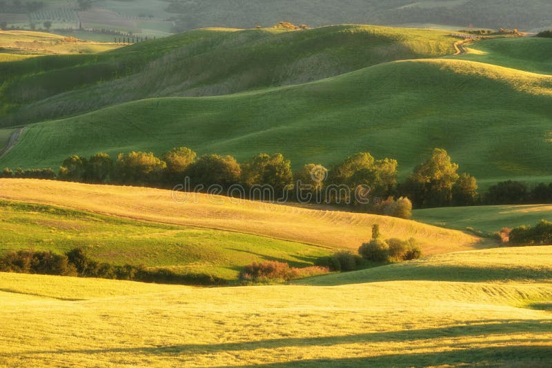 Paisagem rural da mola magnífica Vista impressionante de montes da onda verde de tuscan, de luz solar surpreendente, de campos do foto de stock Paisagem rural da mola magnífica Vista impressionante de montes da onda verde de tuscan, de luz solar surpreendente, de campos do foto de stock