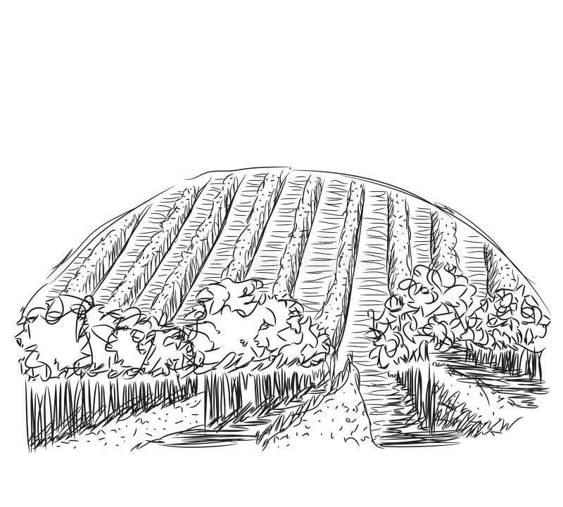 Paisagem tirada mão com campos ilustração royalty free Paisagem tirada mão com campos ilustração royalty free