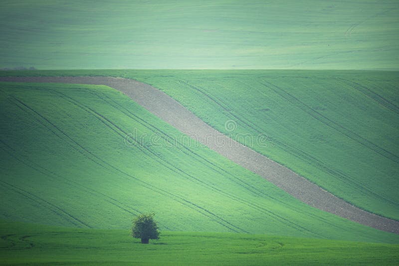 Paisagem verde da terra do campo imagens de stock royalty free Paisagem verde da terra do campo imagens de stock royalty free