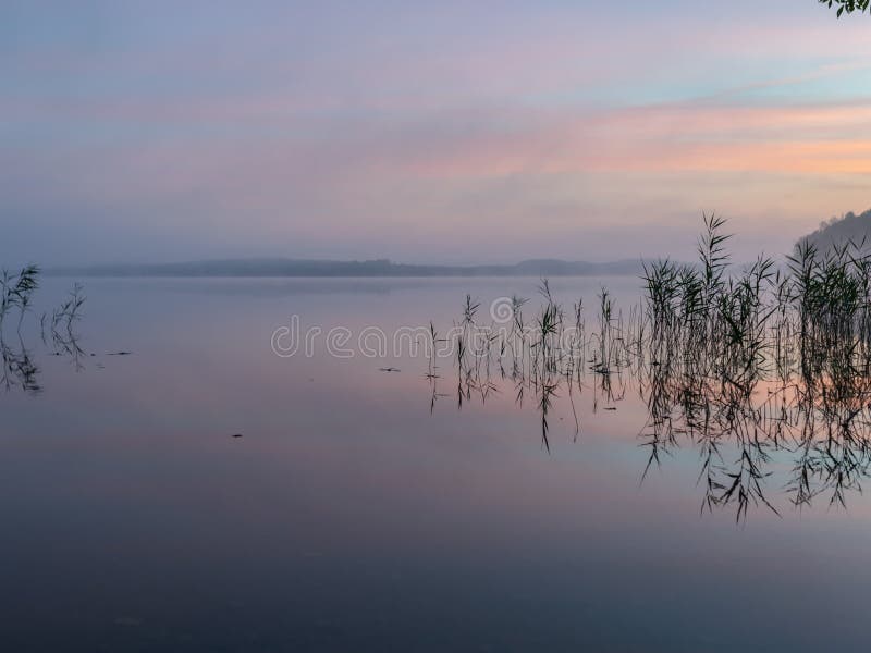 Paisagem úmida, formas enevoadas, reflexo na água, nascer do sol no lago fotografia de stock royalty free Paisagem úmida, formas enevoadas, reflexo na água, nascer do sol no lago fotografia de stock royalty free
