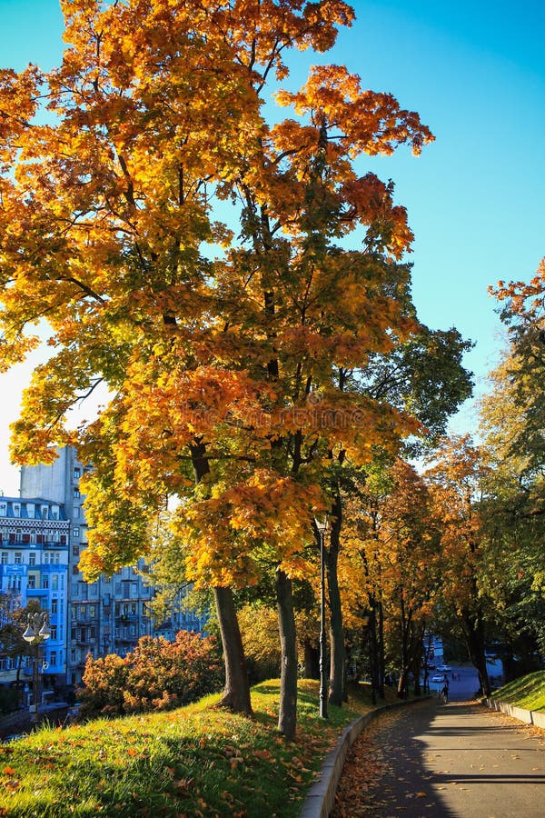 Paisagens Bonitas Do Outono Foto De Stock Imagem De Outono Bonitas 129661114