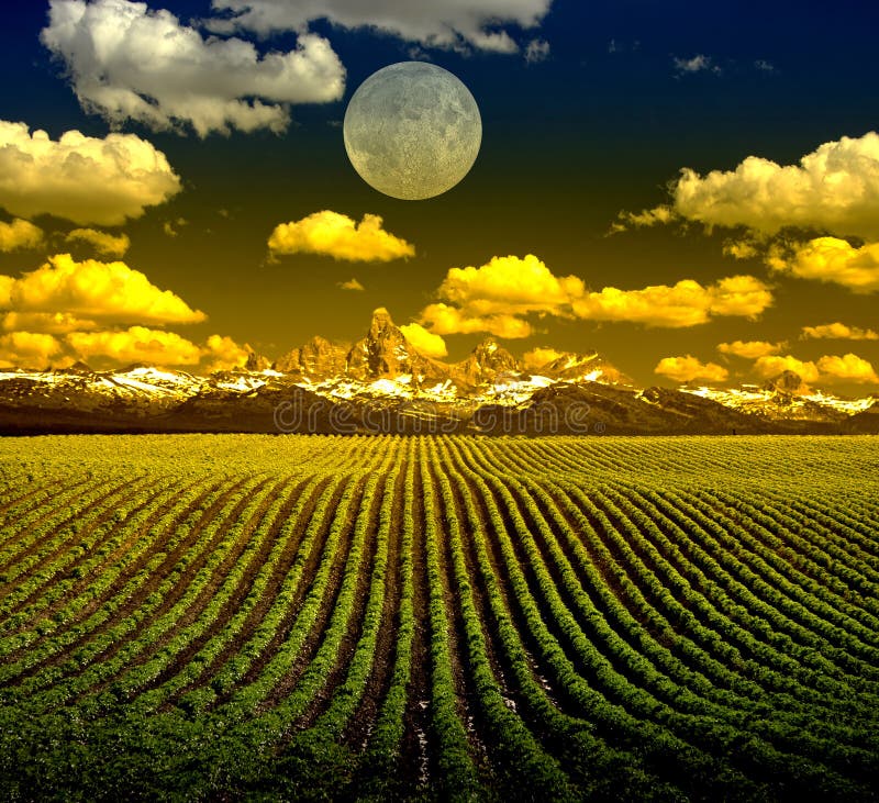 Paisaje Paisaje