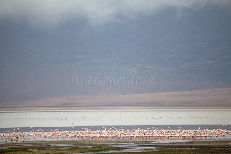 El EL Sod El Lago Del Cráter, Etiopía Imagen de archivo - Imagen de