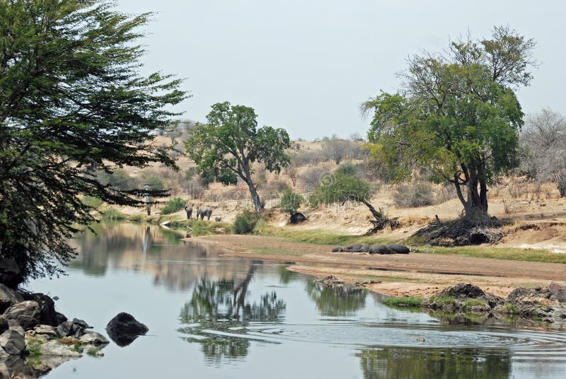 Paisaje africano del río que refleja en agua fotografía de archivo libre de regalías Paisaje africano del río que refleja en agua fotografía de archivo libre de regalías