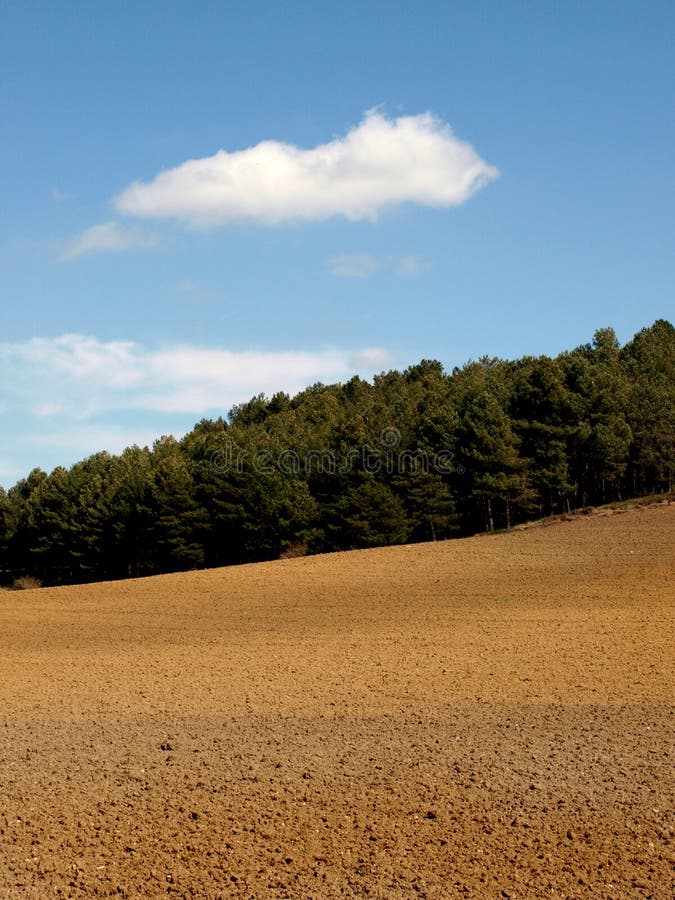 Paisaje agrícola con los árboles y el cielo azul brillante foto de archivo libre de regalías Paisaje agrícola con los árboles y el cielo azul brillante foto de archivo libre de regalías