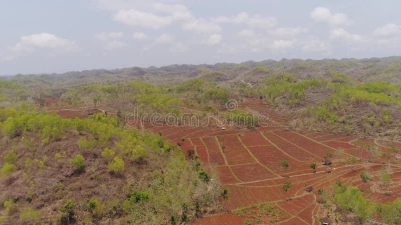 Paisaje agrícola en Asia