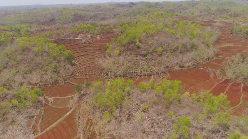 Paisaje agrícola en Asia