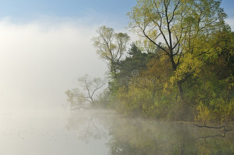 Foggy spring landscape, Whitford Lake, Fort Custer State Park, Michigan, USA. Foggy spring landscape, Whitford Lake, Fort Custer State Park, Michigan, USA