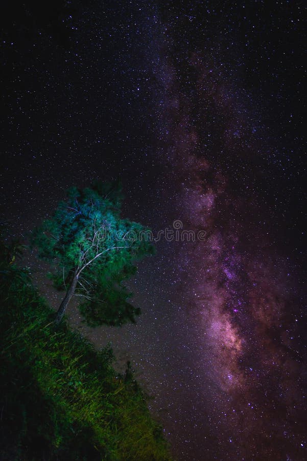 Paisaje con la galaxia de la vía láctea sobre árbol Cielo nocturno con las estrellas foto de archivo libre de regalías Paisaje con la galaxia de la vía láctea sobre árbol Cielo nocturno con las estrellas foto de archivo libre de regalías