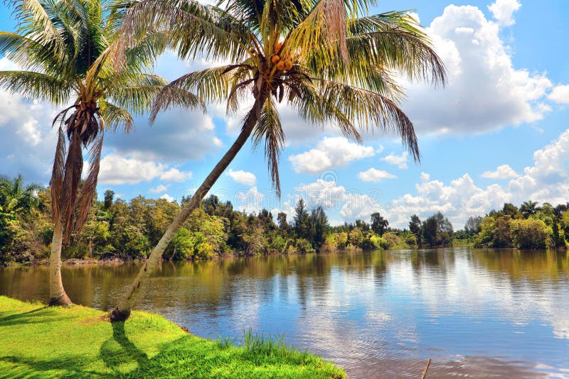 Sunny cuban country landscape, Cuba. Sunny cuban country landscape, Cuba