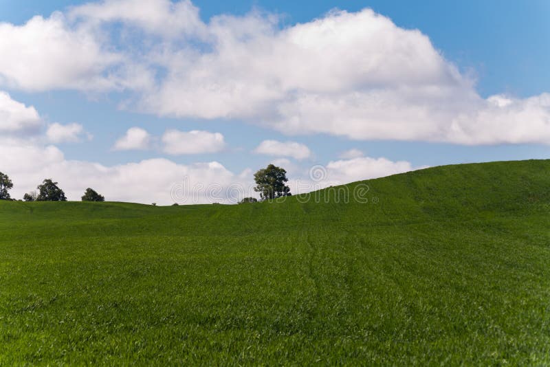 Paisaje de campo verde y cielo azul