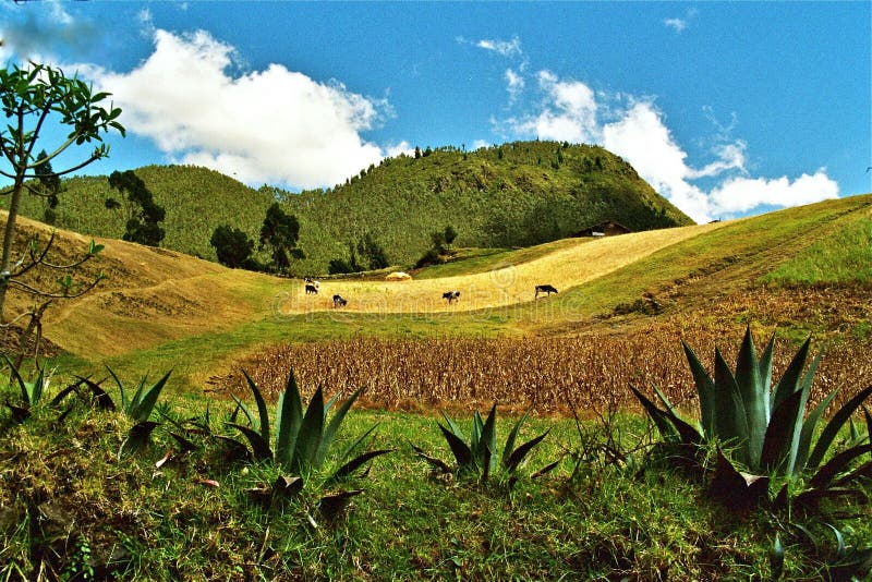Paisaje de Ecuador foto de archivo Paisaje de Ecuador foto de archivo
