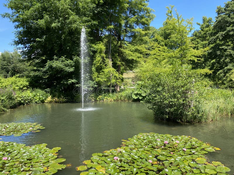 Isla De Las Flores Mainau En El Lago De Constanza O Die Blumeninsel Im