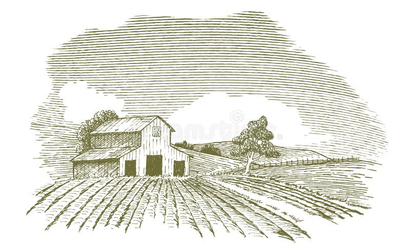 Pen and ink style illustration of a rural farm scene. Pen and ink style illustration of a rural farm scene.