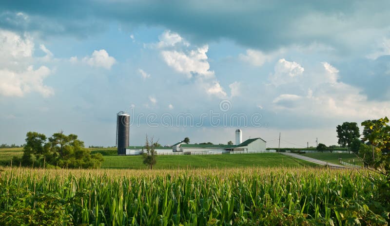 Paisaje de la granja del maíz