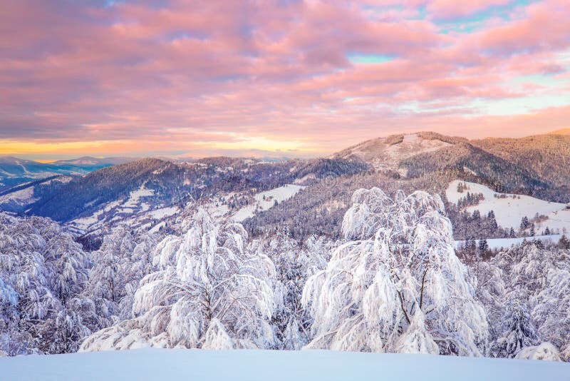 Paisaje de la montaña del invierno Salida del sol del invierno con el cielo rosado rojo vivo fotos de archivo Paisaje de la montaña del invierno Salida del sol del invierno con el cielo rosado rojo vivo fotos de archivo
