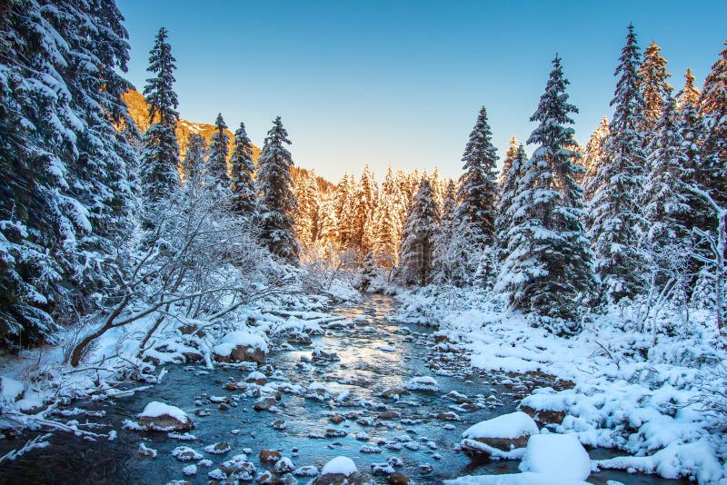 Paisaje de la naturaleza del invierno imágenes de archivo libres de regalías Paisaje de la naturaleza del invierno imágenes de archivo libres de regalías