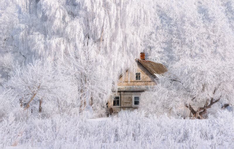 Winter Christmas Landscape In Pink Tones With Old Fairy Tale House, Surrounded By Trees In Hoarfrost. Rural Landscape With Scenic Ancient Russian Old Wooden House, Surrounded By White Snowy Birches. Winter Christmas Landscape In Pink Tones With Old Fairy Tale House, Surrounded By Trees In Hoarfrost. Rural Landscape With Scenic Ancient Russian Old Wooden House, Surrounded By White Snowy Birches