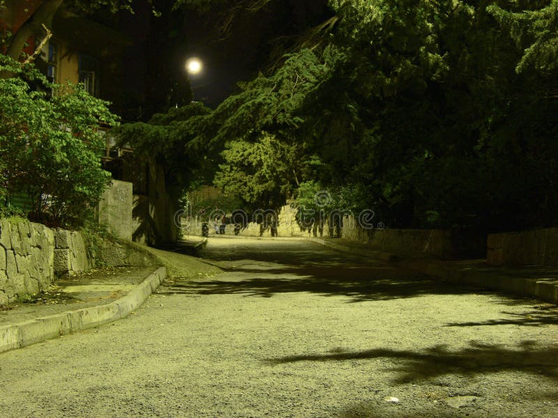 Paisaje De La Noche Luna, Camino, árboles Foto de archivo - Imagen de  campo, cubo: 133348668