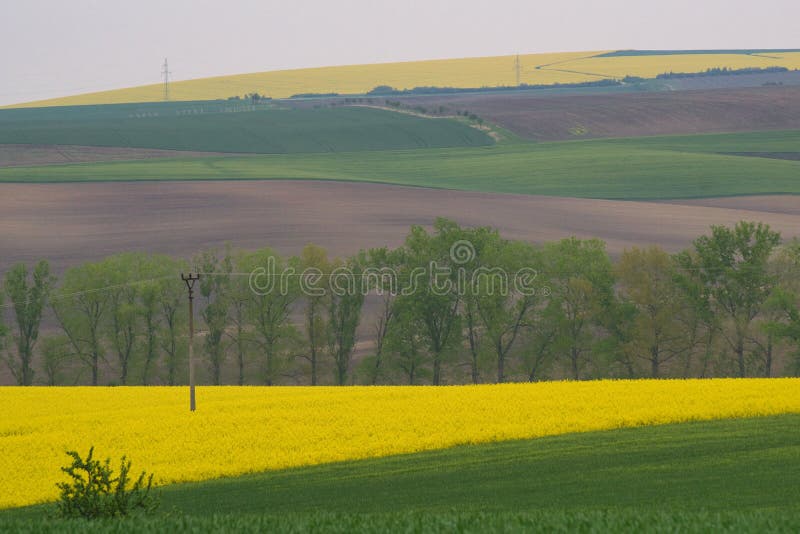 Paisaje de la primavera de los campos de Moravian imagen de archivo libre de regalías Paisaje de la primavera de los campos de Moravian imagen de archivo libre de regalías