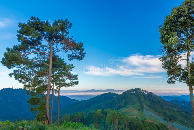 Paisaje de la salida del sol en la montaña en Doi Luang Chiang Dao, ChiangMai Tailandia
