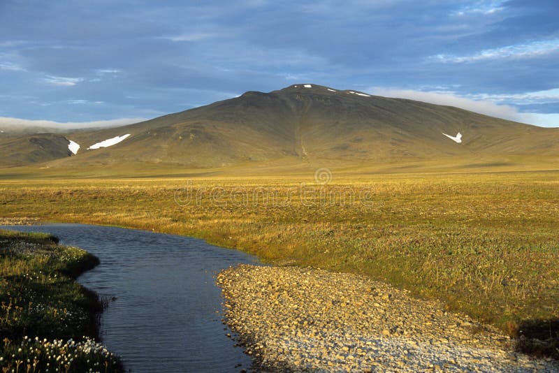 Paisaje de la tundra imagen de archivo libre de regalías Paisaje de la tundra imagen de archivo libre de regalías