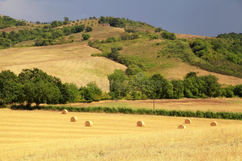 Paisaje de Toscana con las colinas, los campos amarillos y las balas de heno, Tusca fotos de archivo Paisaje de Toscana con las colinas, los campos amarillos y las balas de heno, Tusca fotos de archivo
