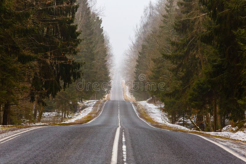 Paisaje del bosque Camino recto a lo largo del paisaje brumoso de la primavera del bosque imagen de archivo libre de regalías Paisaje del bosque Camino recto a lo largo del paisaje brumoso de la primavera del bosque imagen de archivo libre de regalías