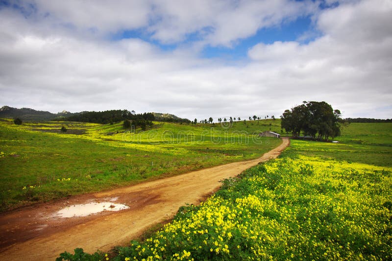 490,572 Campo Coloridos Del Paisajes Fotos de stock - Fotos libres de ...