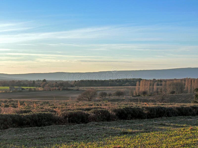 Paisaje del campo de Provancal en el tiempo de la puesta del sol en el invierno, Vaucluse, Provence, Francia meridional, Europa fotografía de archivo libre de regalías Paisaje del campo de Provancal en el tiempo de la puesta del sol en el invierno, Vaucluse, Provence, Francia meridional, Europa fotografía de archivo libre de regalías