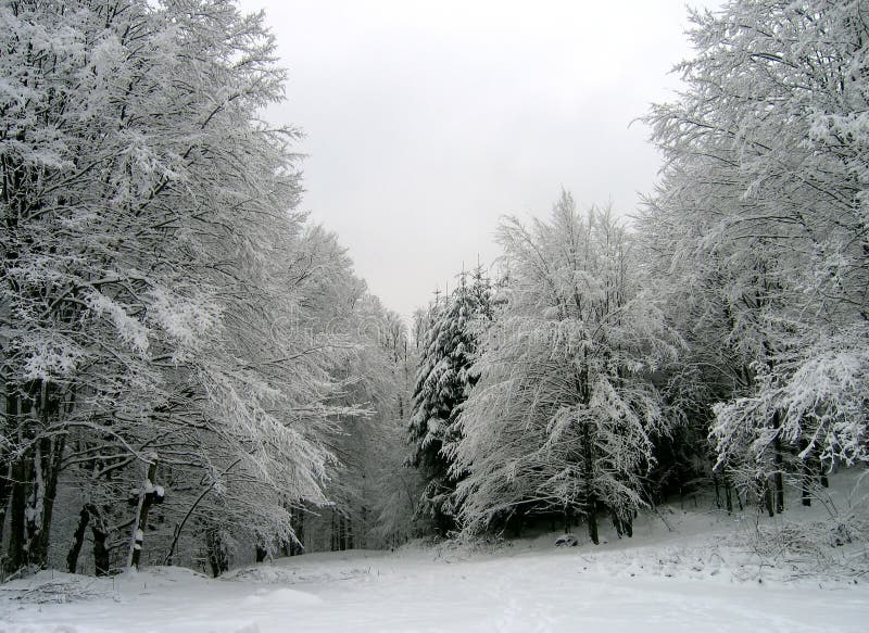 Paisaje del invierno fotografía de archivo Paisaje del invierno fotografía de archivo