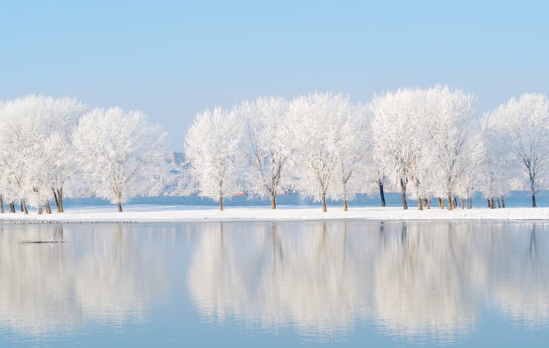 Paisaje del invierno con la reflexión en el agua