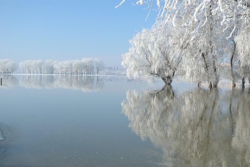 Winter landscape with beautiful reflection in the water. Winter landscape with beautiful reflection in the water