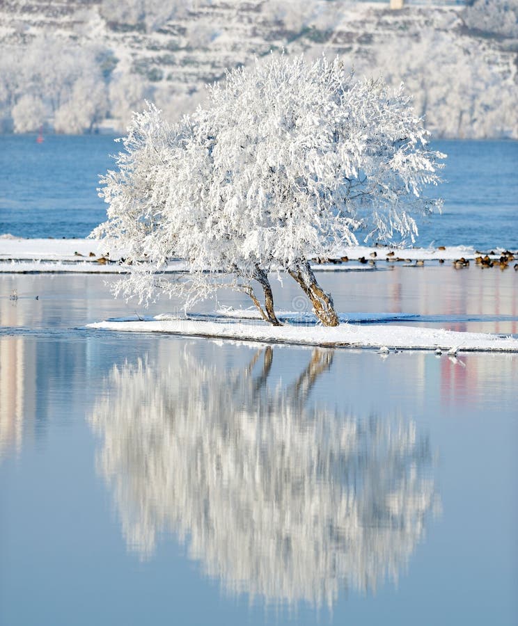 Winter landscape with beautiful reflection in the water. Winter landscape with beautiful reflection in the water