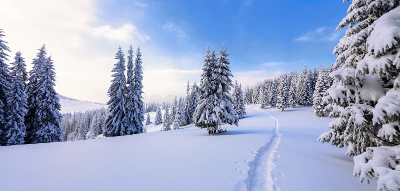 Paisaje del invierno con los árboles justos debajo de la nieve Paisaje para los turistas Días de fiesta de la Navidad fotos de archivo libres de regalías