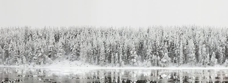 Northern winter landscape. Panorama of the forest with reflection in the river. Northern winter landscape. Panorama of the forest with reflection in the river