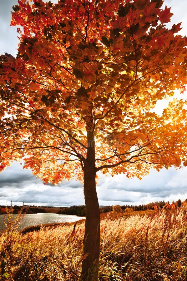 Paisaje del otoño imágenes de archivo libres de regalías Paisaje del otoño imágenes de archivo libres de regalías