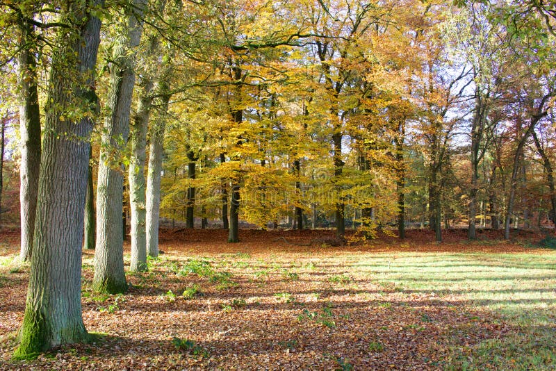 Paisaje del otoño fotos de archivo Paisaje del otoño fotos de archivo