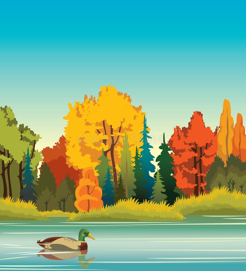 Paisaje del otoño - pato, bosque, lago stock de ilustración Paisaje del otoño - pato, bosque, lago stock de ilustración