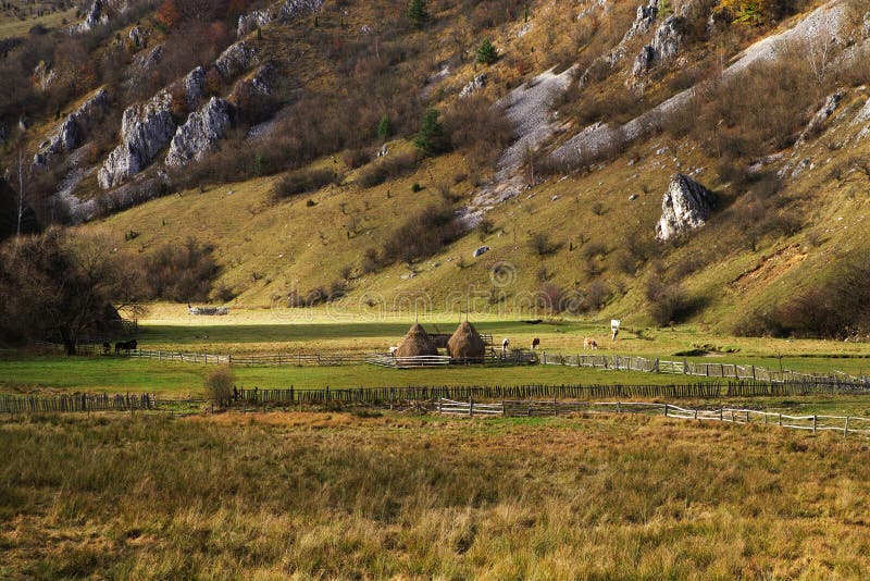Paisaje del otoño del país con el bosque y los prados coloridos en los Cárpatos foto de archivo libre de regalías Paisaje del otoño del país con el bosque y los prados coloridos en los Cárpatos foto de archivo libre de regalías