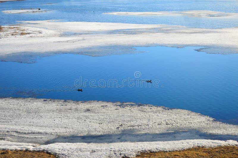 Paisaje Con El Río Y Los Patos En Agua Imagen de archivo - Imagen de