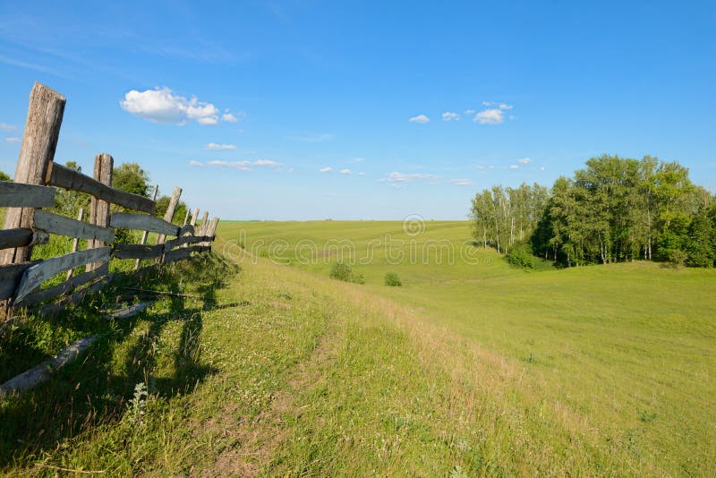 Paisaje del verano con los barrancos y la cerca de madera vieja imágenes de archivo libres de regalías Paisaje del verano con los barrancos y la cerca de madera vieja imágenes de archivo libres de regalías