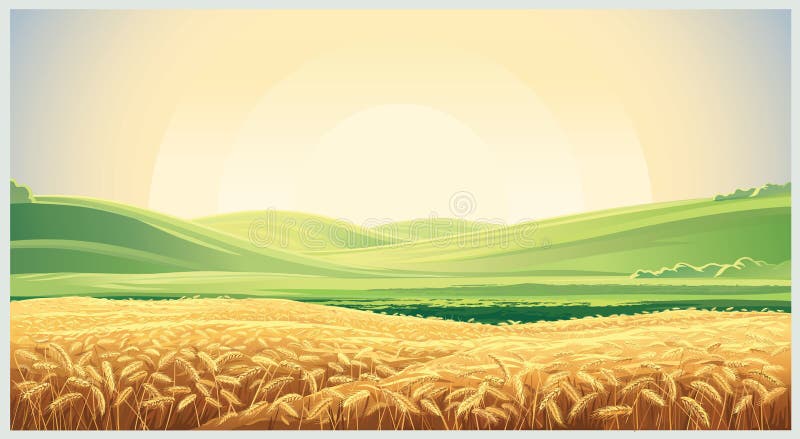 Paisaje del verano con trigo del campo