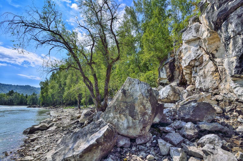 Paisaje del verano en el banco rocoso del río siberiano rápido Katun foto de archivo Paisaje del verano en el banco rocoso del río siberiano rápido Katun foto de archivo
