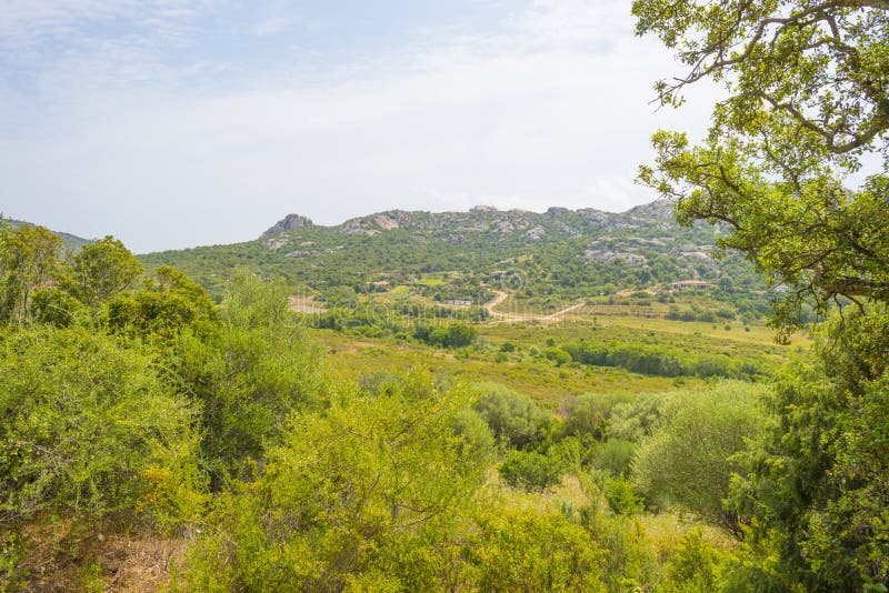 Paisaje escénico de colinas verdes y de montañas rocosas de la isla de Cerdeña imagen de archivo Paisaje escénico de colinas verdes y de montañas rocosas de la isla de Cerdeña imagen de archivo