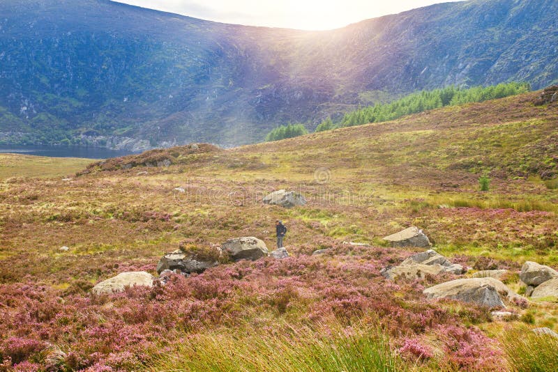 Paisaje hermoso de la montaña, paisaje Montañas parque nacional, condado Wicklow, Irlanda de Wicklow foto de archivo Paisaje hermoso de la montaña, paisaje Montañas parque nacional, condado Wicklow, Irlanda de Wicklow foto de archivo
