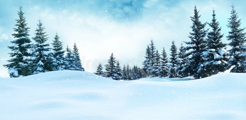 Paisaje hermoso del invierno con los árboles nevados foto de archivo