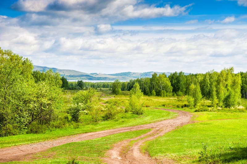 Paisaje hermoso del verano con el bosque y las montañas fotografía de archivo Paisaje hermoso del verano con el bosque y las montañas fotografía de archivo