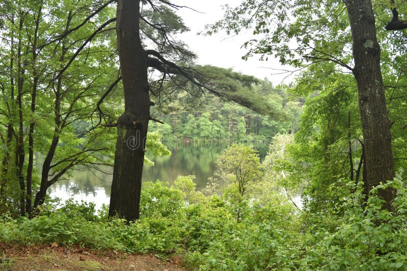 Paisaje hermoso en la reserva azul de las colinas en Nueva Inglaterra fotografía de archivo libre de regalías Paisaje hermoso en la reserva azul de las colinas en Nueva Inglaterra fotografía de archivo libre de regalías